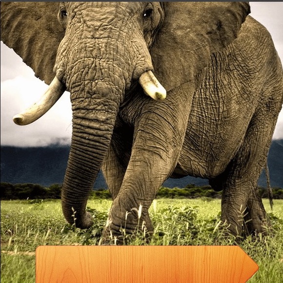 Meet your Posher, Kin - Picture 2 of 2